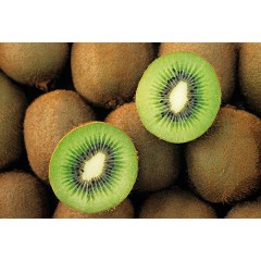 Zespri佳沛绿果中果12粒单果93-105g新西兰奇异果猕猴桃