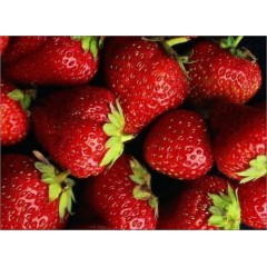 丹东99牛奶草莓5斤新鲜应当季礼盒水果奶油红颜大白草莓3顺丰包邮