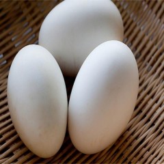顺丰包邮新鲜鹅蛋孕妇农家散养土鹅蛋正宗特产12枚大个生鹅蛋精品
